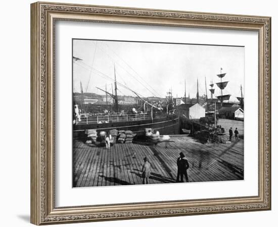 Harbour of Auckland, New Zealand, 1893-John L Stoddard-Framed Giclee Print