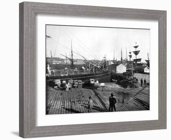 Harbour of Auckland, New Zealand, 1893-John L Stoddard-Framed Giclee Print