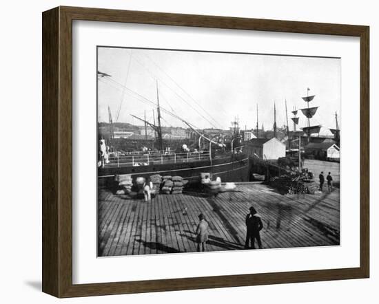 Harbour of Auckland, New Zealand, 1893-John L Stoddard-Framed Giclee Print