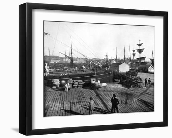 Harbour of Auckland, New Zealand, 1893-John L Stoddard-Framed Giclee Print