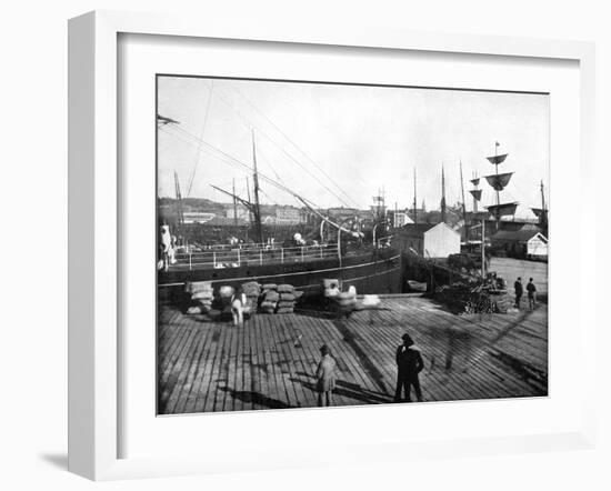 Harbour of Auckland, New Zealand, 1893-John L Stoddard-Framed Giclee Print