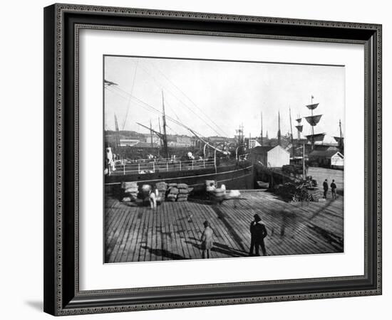 Harbour of Auckland, New Zealand, 1893-John L Stoddard-Framed Giclee Print