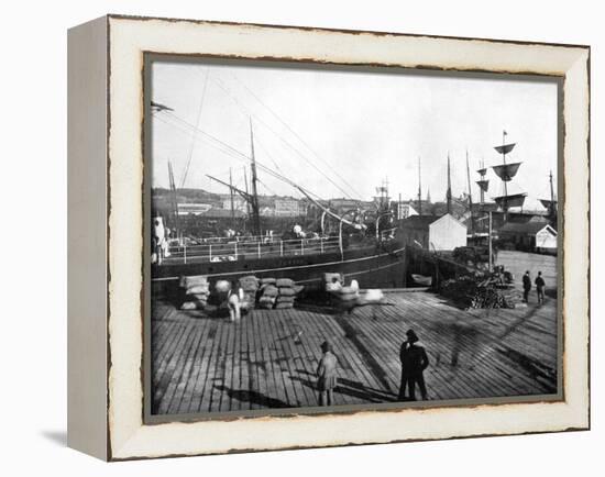 Harbour of Auckland, New Zealand, 1893-John L Stoddard-Framed Premier Image Canvas