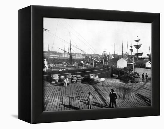 Harbour of Auckland, New Zealand, 1893-John L Stoddard-Framed Premier Image Canvas