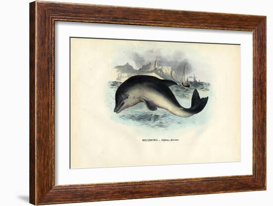 Harbour Porpoise, 1863-79-Raimundo Petraroja-Framed Giclee Print