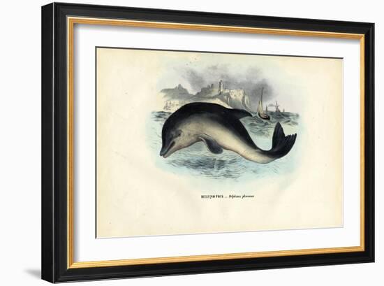 Harbour Porpoise, 1863-79-Raimundo Petraroja-Framed Giclee Print