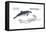 Harbour Porpoise (Phocoena Phocoena), Mammals-Encyclopaedia Britannica-Framed Stretched Canvas