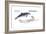 Harbour Porpoise (Phocoena Phocoena), Mammals-Encyclopaedia Britannica-Framed Art Print