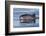 Harbour porpoise surfacing, New Brunswick, Canada-Mark Carwardine-Framed Photographic Print