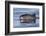 Harbour porpoise surfacing, New Brunswick, Canada-Mark Carwardine-Framed Photographic Print