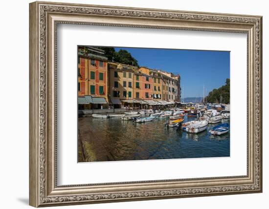 Harbour, Portofino, Genova (Genoa), Liguria, Italy, Europe-Frank Fell-Framed Photographic Print