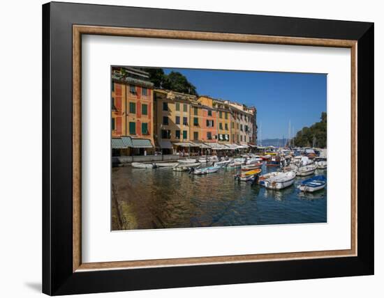 Harbour, Portofino, Genova (Genoa), Liguria, Italy, Europe-Frank Fell-Framed Photographic Print