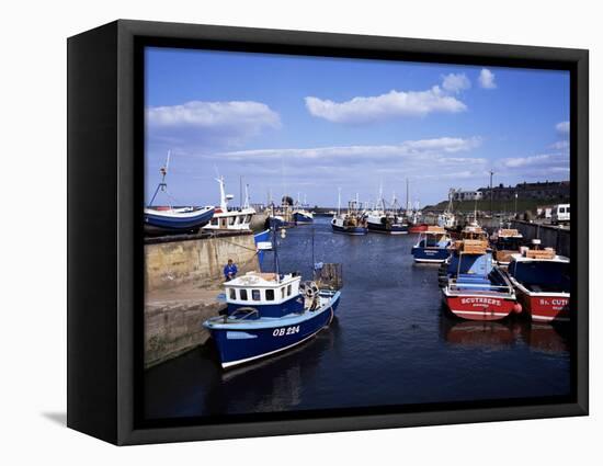 Harbour, Seahouses, Northumberland, England, United Kingdom-Geoff Renner-Framed Premier Image Canvas