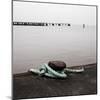 Harbour View-Craig Roberts-Mounted Photographic Print