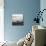 Harbour View-Craig Roberts-Mounted Photographic Print displayed on a wall