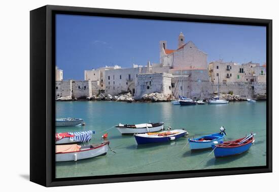 Harbour with Old Town and Cathedral, Giovinazzo, Province of Bari, Apulia, Italy-Markus Lange-Framed Premier Image Canvas