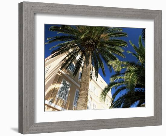 Harbourside Palms, Sanary-Sur-Mer, Var, Cote d'Azur, Provence, France, Europe-Ruth Tomlinson-Framed Photographic Print