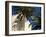 Harbourside Palms, Sanary-Sur-Mer, Var, Cote d'Azur, Provence, France, Europe-Ruth Tomlinson-Framed Photographic Print