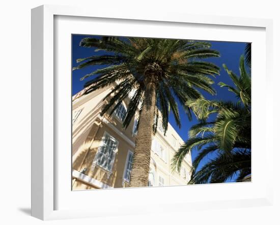Harbourside Palms, Sanary-Sur-Mer, Var, Cote d'Azur, Provence, France, Europe-Ruth Tomlinson-Framed Photographic Print