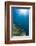 Hard and Soft Coral Landscape Scenic at Thetford Reef on the Great Barrier Reef-Louise Murray-Framed Photographic Print