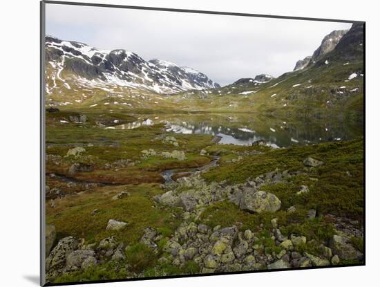 Hardangervidda, Telemark, Norway, Scandinavia, Europe-Hans Peter Merten-Mounted Photographic Print