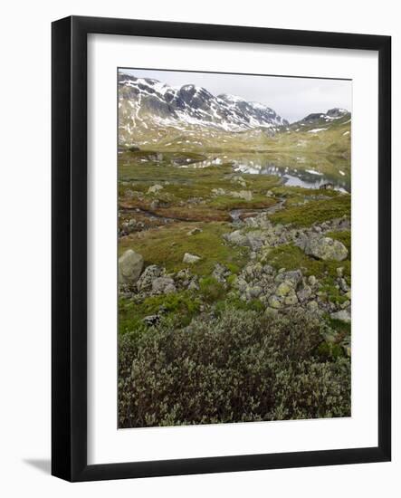 Hardangervidda, Telemark, Norway, Scandinavia, Europe-Hans Peter Merten-Framed Photographic Print