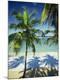 Premium Photographic Print