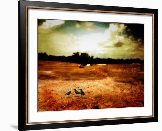 Hardscrabble-Katherine Sanderson-Framed Photographic Print