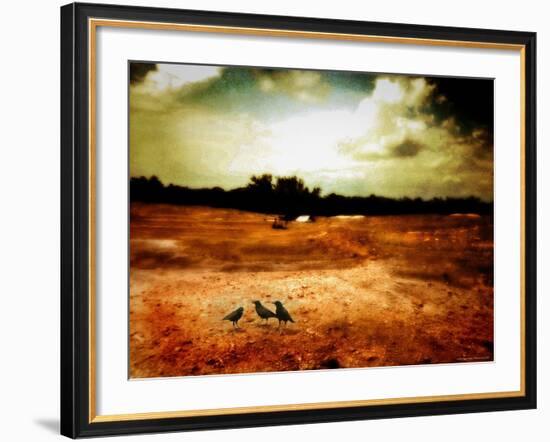 Hardscrabble-Katherine Sanderson-Framed Photographic Print