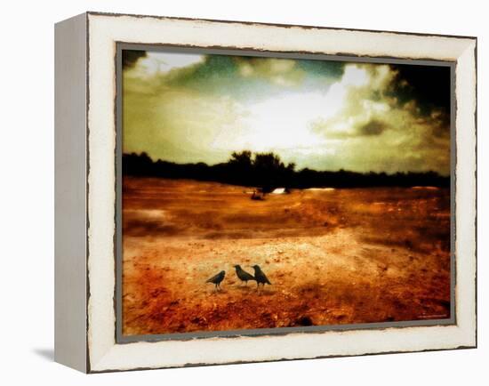 Hardscrabble-Katherine Sanderson-Framed Premier Image Canvas