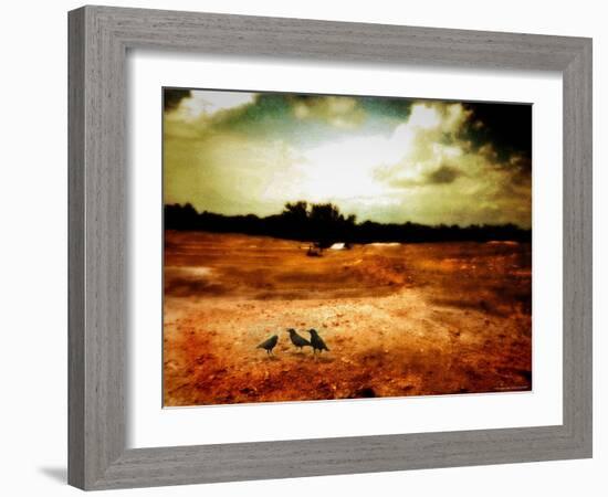 Hardscrabble-Katherine Sanderson-Framed Photographic Print