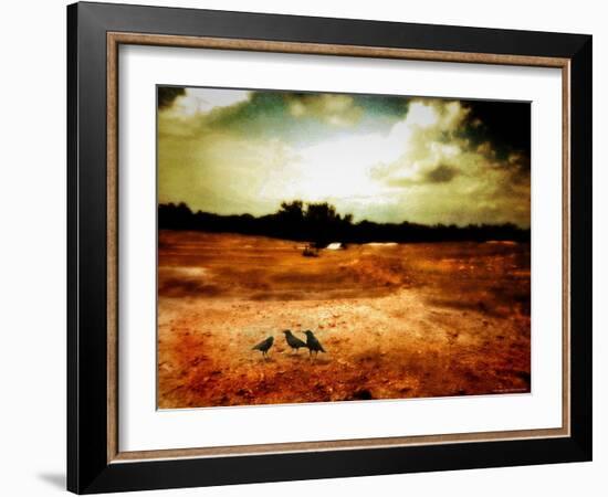 Hardscrabble-Katherine Sanderson-Framed Photographic Print