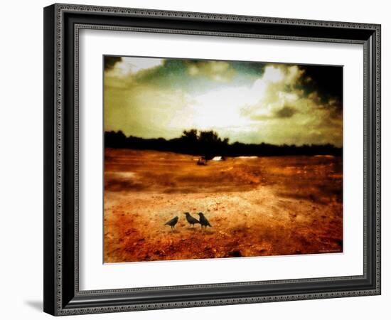 Hardscrabble-Katherine Sanderson-Framed Photographic Print