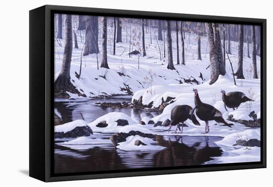 Hardwood Creek - Wild Turkeys-Wilhelm Goebel-Framed Premier Image Canvas