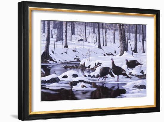 Hardwood Creek - Wild Turkeys-Wilhelm Goebel-Framed Premium Giclee Print