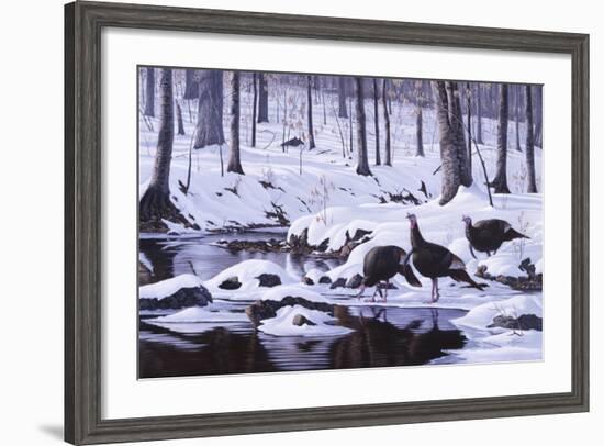 Hardwood Creek - Wild Turkeys-Wilhelm Goebel-Framed Giclee Print