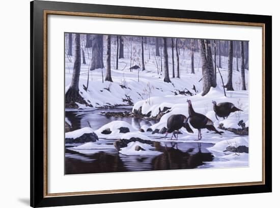 Hardwood Creek - Wild Turkeys-Wilhelm Goebel-Framed Giclee Print