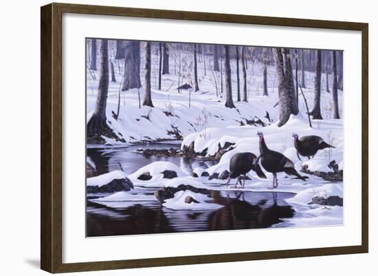 Hardwood Creek - Wild Turkeys-Wilhelm Goebel-Framed Giclee Print