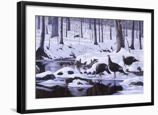 Hardwood Creek - Wild Turkeys-Wilhelm Goebel-Framed Giclee Print