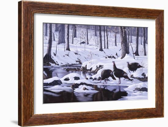 Hardwood Creek - Wild Turkeys-Wilhelm Goebel-Framed Giclee Print