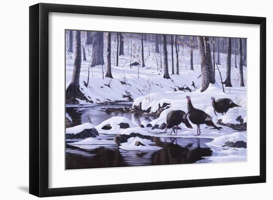 Hardwood Creek - Wild Turkeys-Wilhelm Goebel-Framed Giclee Print
