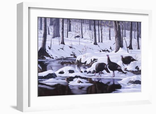 Hardwood Creek - Wild Turkeys-Wilhelm Goebel-Framed Giclee Print