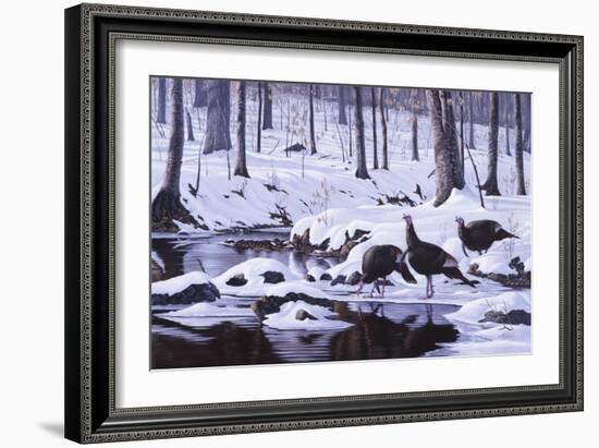 Hardwood Creek - Wild Turkeys-Wilhelm Goebel-Framed Giclee Print