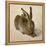 Hare, 1502-Albrecht Dürer-Framed Premier Image Canvas