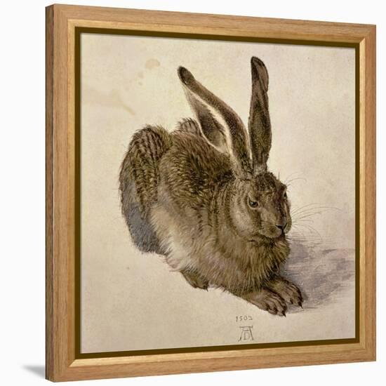 Hare, 1502-Albrecht Dürer-Framed Premier Image Canvas