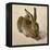 Hare, 1502-Albrecht Dürer-Framed Premier Image Canvas