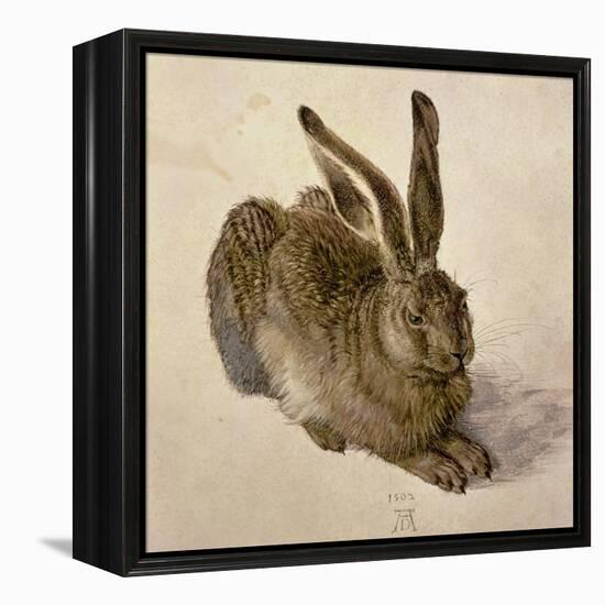 Hare, 1502-Albrecht Dürer-Framed Premier Image Canvas