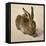 Hare, 1502-Albrecht Dürer-Framed Premier Image Canvas