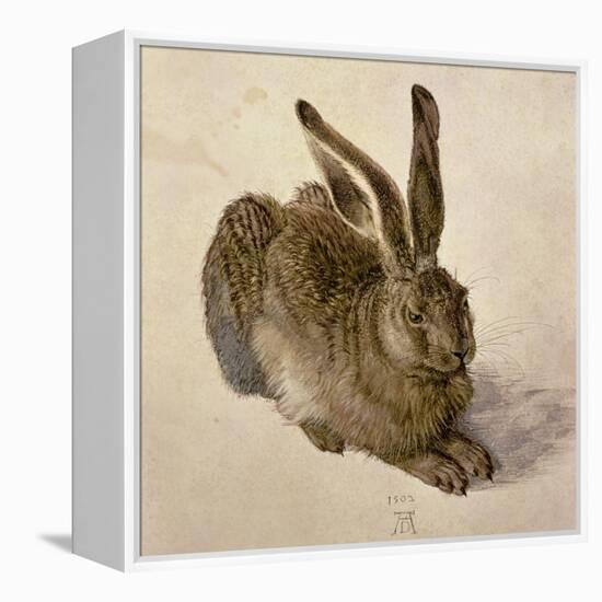 Hare, 1502-Albrecht Dürer-Framed Premier Image Canvas