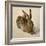 Hare, 1502-Albrecht Dürer-Framed Giclee Print